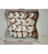Gocha: Rozek sliwka*1kg     gc9
