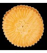 Dyb: Markizy sm.kakao*2kg dy16