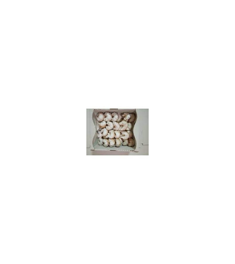 Gocha: Rozek rozany*1kg     gc6