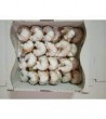 Gocha: Rozek rozany*1kg     gc6