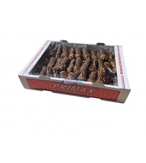 Prim: Wykwintne ciemn*2kg  px55